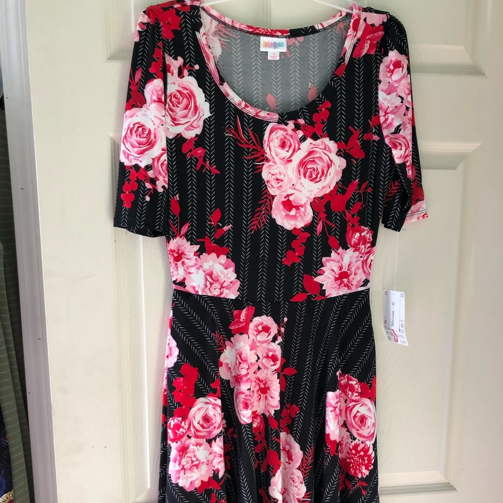 Small Lularoe Nicole WITH pockets